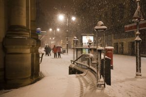 bradford snow 16 sm.jpg